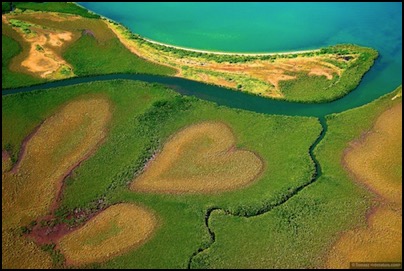 Coeur de Voh - Nouvelle Caledonie by Tomasz http://www.rdvnature.com