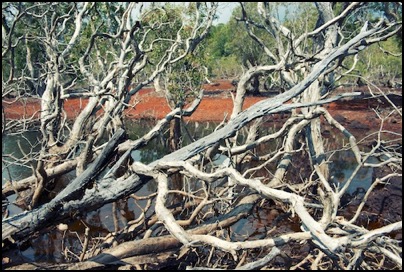 Lac du plateau de Tia Pouembout Nouvelle Caledonie (photo Tomasz http://rdvnature.com)