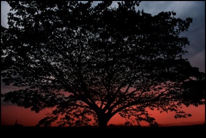 Nouvelle Caledonie - photo Tomasz http://rdvnature.com