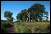 FERMANAGH - CROM CASTLE RUINS
