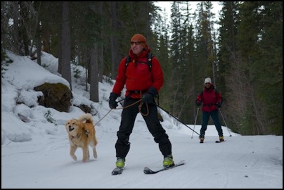 Coming down after ski touring day with Chic Scott, Barry Blanchard & Finnigan - Rocky Mountains - photo Tomasz http://rdvnature.com - rendez vous nature & aventure
