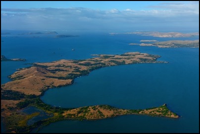 back in New Caledonia (photo Tomasz http://rdvnature.com)