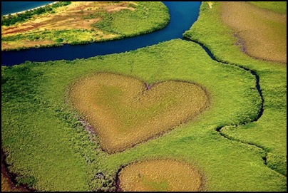 Coeur de Voh - Nouvelle Caledonie by Tomasz http://rdvnature.com