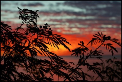Coucher de soleil - tribu de Gatope Nouvelle Calédonie - photo Tomasz (http://rdvnature.com)