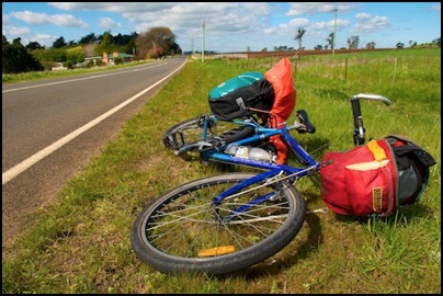 Cycling in Tasmania - photo Tomasz http://rdvnature.com
