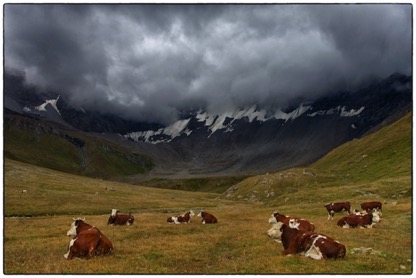 Tour du Mont Blanc 2014 - au-dessus du refuge Bonatti - photo Tomasz rdvnature.com