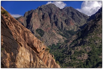 Corsica. Foret de Bonifatu - piste de Roncu. Photo Tomasz http://rdvnature.com