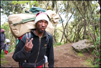 sur les pentes du Kilimanjaro - photo Tomasz http://rdvnature.com