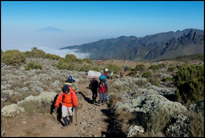 sur les pentes du Kilimanjaro - photo Tomasz http://rdvnature.com