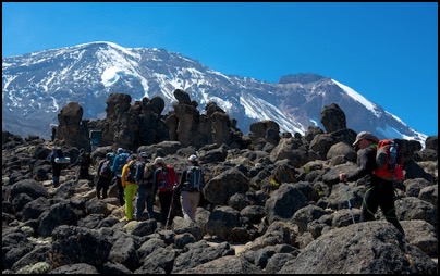 sur les pentes du Kilimanjaro - photo Tomasz http://rdvnature.com