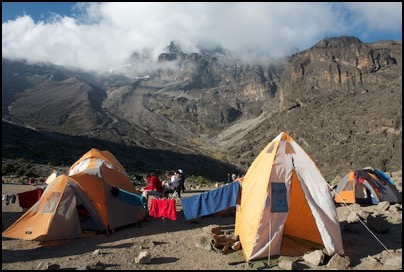 sur les pentes du Kilimanjaro - photo Tomasz http://rdvnature.com