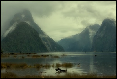 Visiting Milford Sound, New Zealand - photo Tomasz http://rdvnature.com