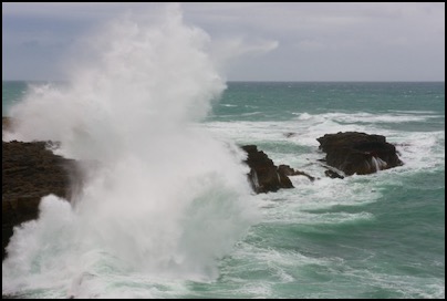 Slope Point (southernmost point in NZ), The Catlins, New Zealand - photo Tomasz http://rdvnature.com