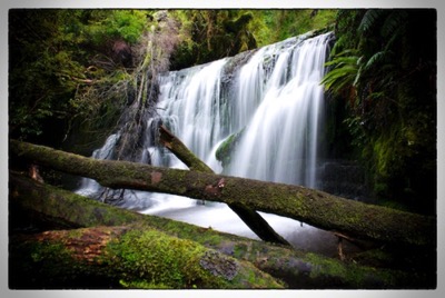 Waipohatu Waterfalls, The Catlins, New Zealand - photo Tomasz http://rdvnature.com