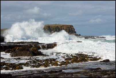 Breaking Weaves, Curio Bay, The Catlins, New Zealand - photo Tomasz http://rdvnature.com