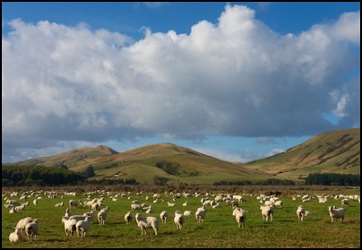 The Catlins, New Zealand - photo Tomasz http://rdvnature.com