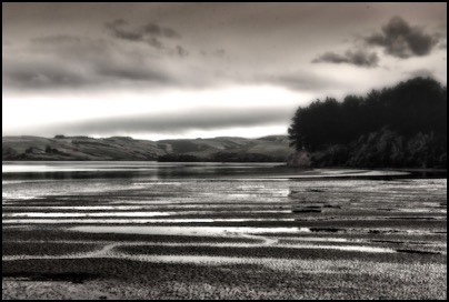 The Catlins - my dreamland, New Zealand - photo Tomasz http://rdvnature.com