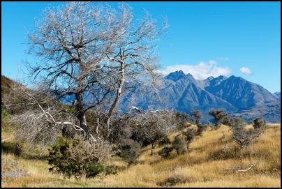 Mountains over Glenorchy, New Zealand, photo Tomasz http://rdvnature.com