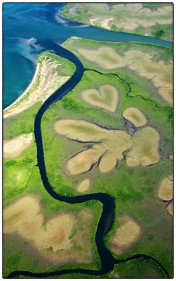 Coeur de Voh - New Caledonia - photo Tomasz http://rdvnature.com
