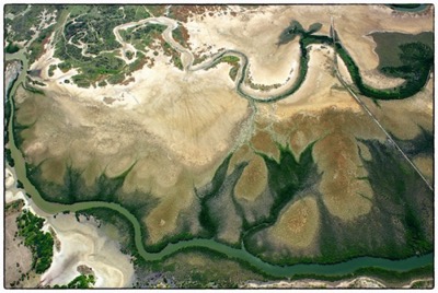 Naturally shaped in New Caledonia - photo Tomasz http://rdvnature.com