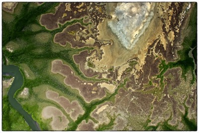 Natural patchwork in New Caledonia - photo Tomasz http://rdvnature.com