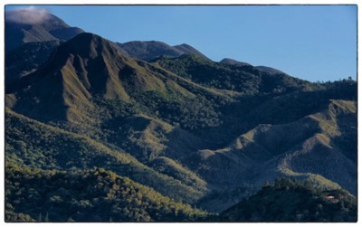 Nouvelle Calédonie - Chapeau de gendarme au lever du jour - photo Tomasz rendez vous nature http://rdvnature.com