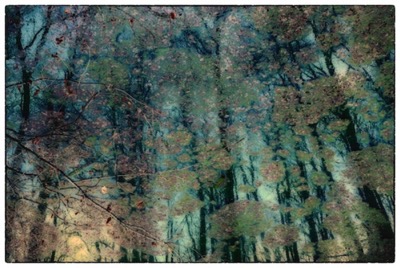 Zabie Oczko - Opolszczyzna (PL)