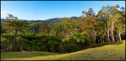 parc de Grands Fougeres - Nouvelle Caledonie - photo Tomasz http://rdvnature.com