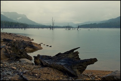 Sunken Forest - Tasmania - photo Tomasz http://rdvnature.com