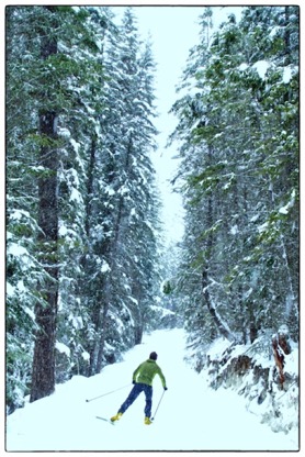 TJ XC skating in Nipika mountain resort, BC Canada - photo Tomasz rdvnature.com