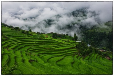 towards Ghandruk, Nepal - photo Tomasz http://rdvnature.com